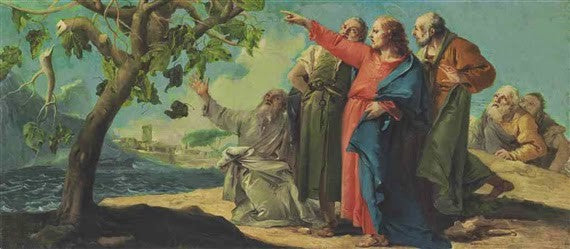 Jesus and the Fig Tree